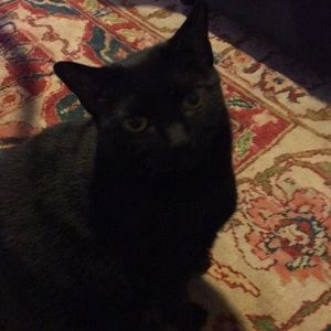 Meet your Posher, Kara